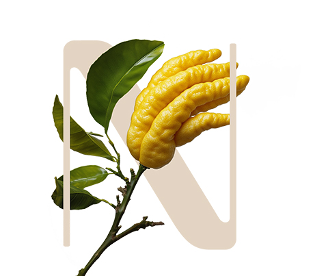 Full Energy Budha’s hand citron
