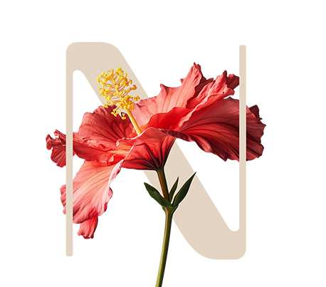 All Fiber Booster Chinese hibiscus