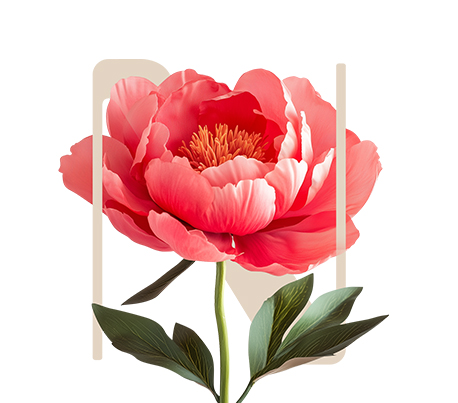 Pure Light Chinese peony