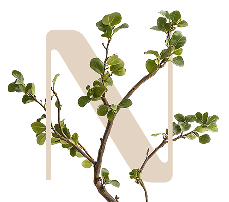 Sun Protect Commiphora