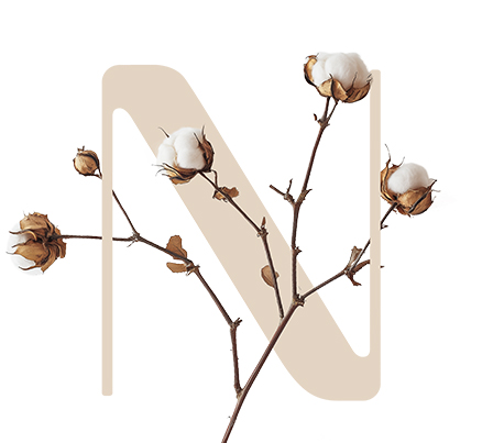 Fragile Cotton