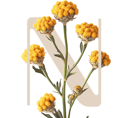 Total Generation Curry plant