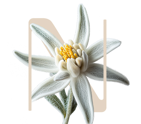 Whole Protection Edelweiss