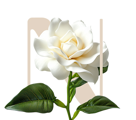 Inside Heart Gardenia