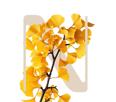 Light&Energy Ginkgo