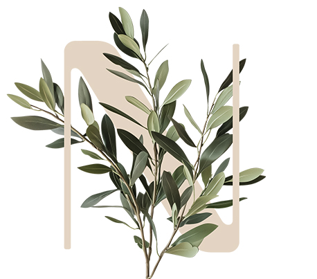 All Fiber Booster Olive tree