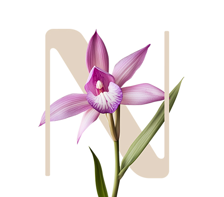 Fiber Booster Plus Hardy Orchid