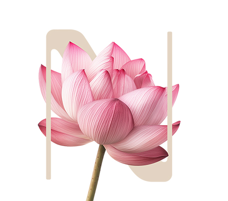 Unwind Sacred lotus