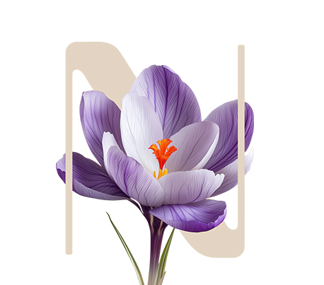 Fiber Booster Plus Saffron