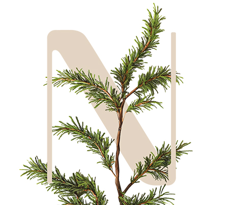 MReload Sequoia