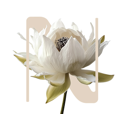 First Light Snow lotus