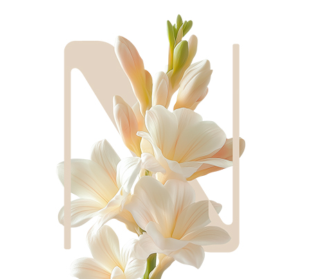InitialE [PT+TMG]