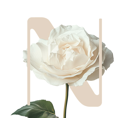 Smooth Lightening White rose