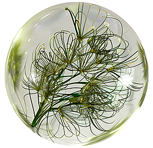 picto-cellule-2