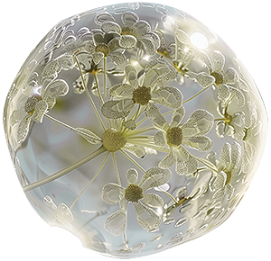 picto-cellule-2